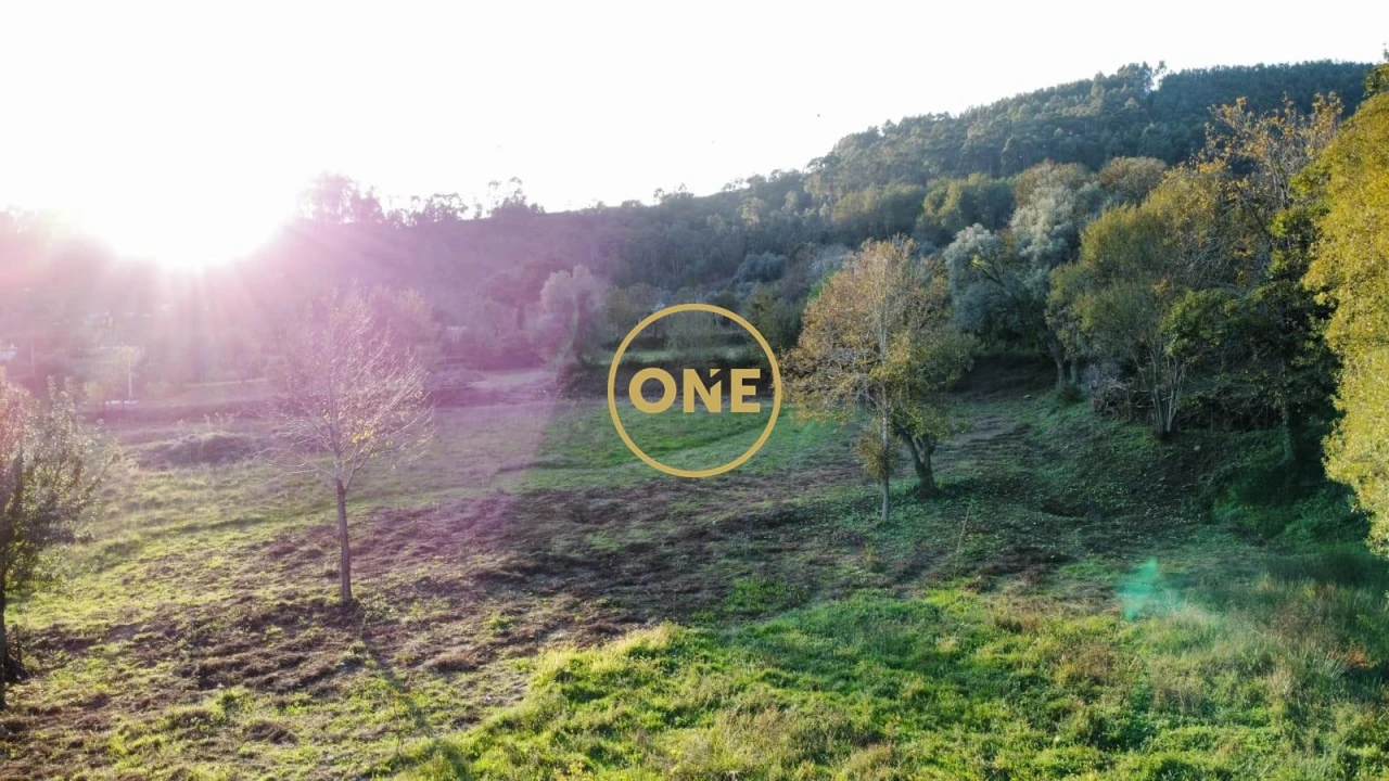 Quinta para Venda em Vade Foto 31