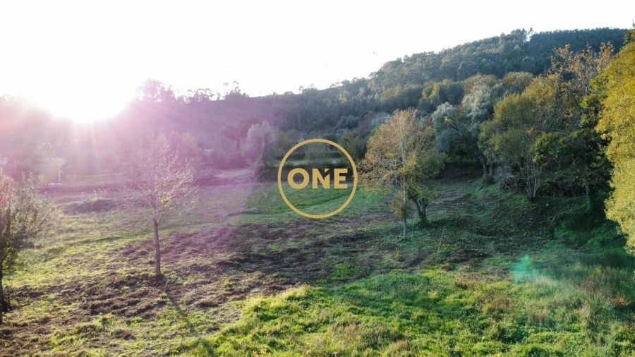 Quinta para Venda em Vade Foto 31