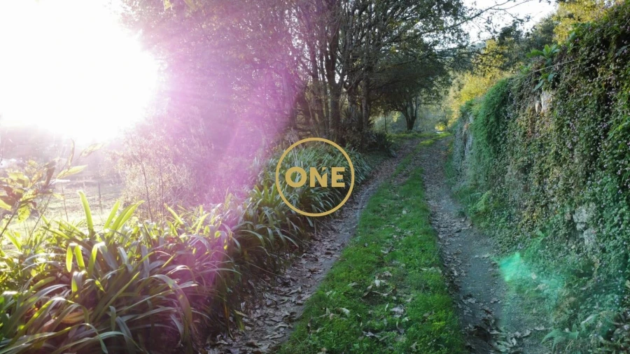 Quinta para Venda em Vade Foto 28