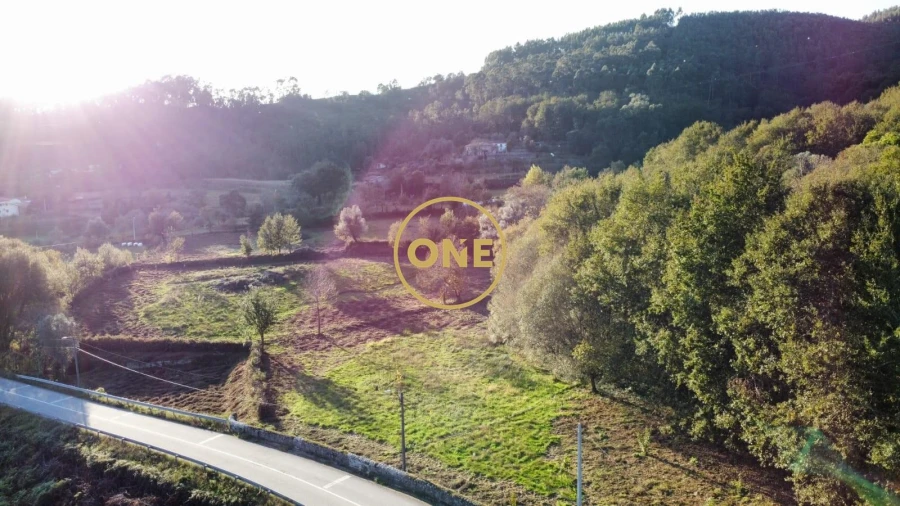 Quinta para Venda em Vade Foto 29