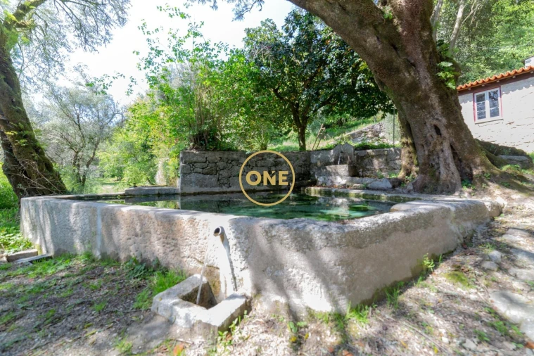 Quinta para Venda em Vade Foto 25