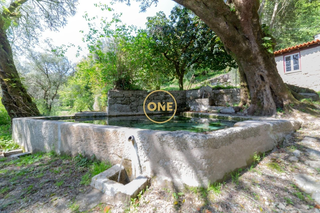 Quinta para Venda em Vade Foto 25