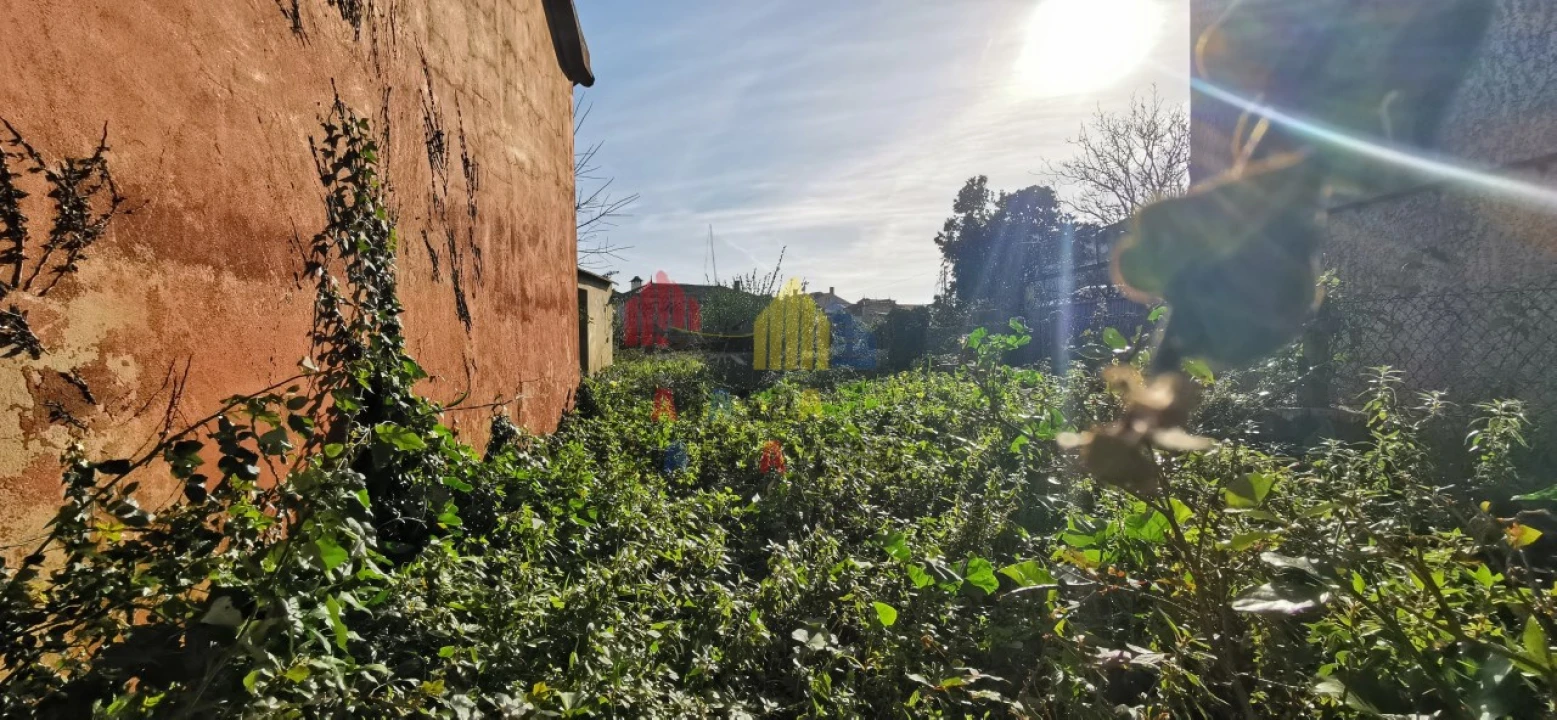 Loja para Venda em Murtosa Foto 4