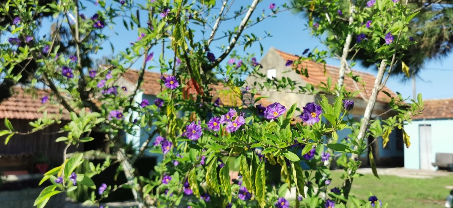 Moradia T3 para Venda em Bunheiro Foto 17