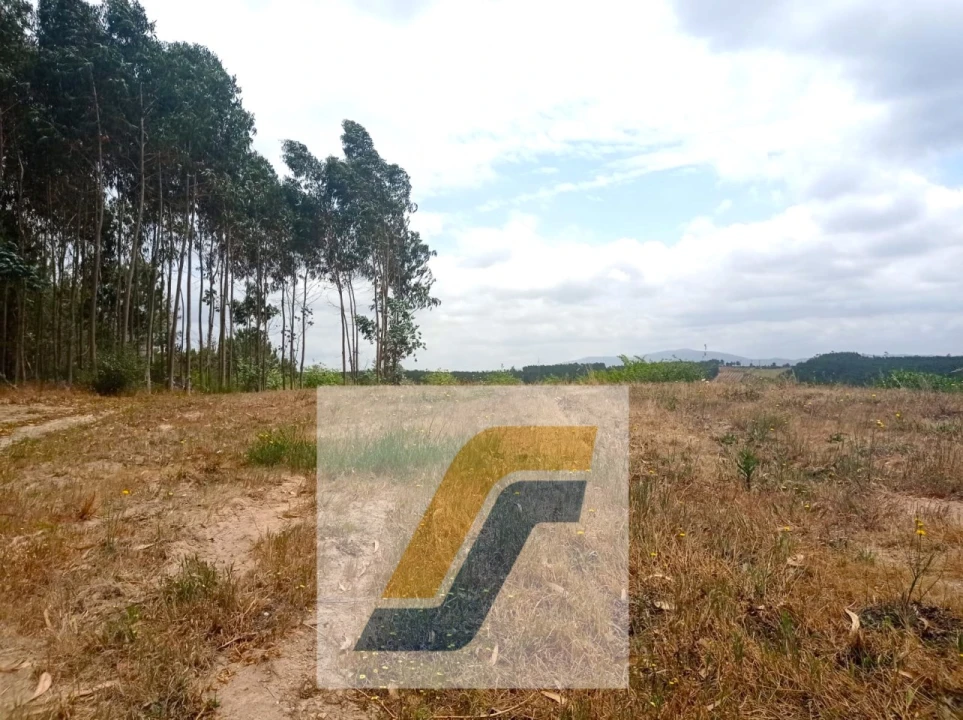 Terreno para Venda em Moita dos Ferreiros Foto 6