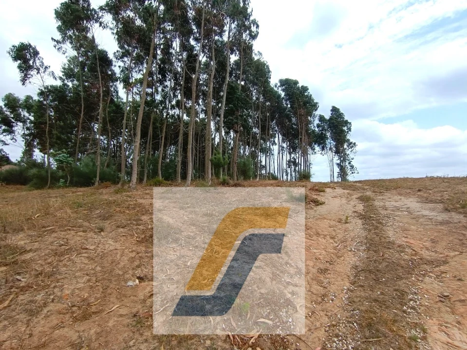 Terreno para Venda em Moita dos Ferreiros Foto 14