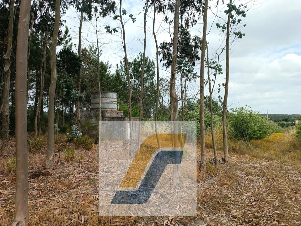 Terreno para Venda em Moita dos Ferreiros Foto 18