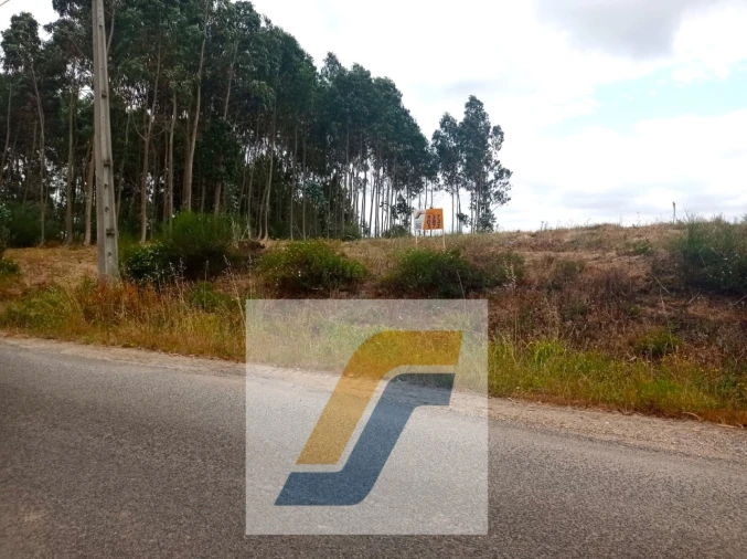 Terreno para Venda em Moita dos Ferreiros Foto 3