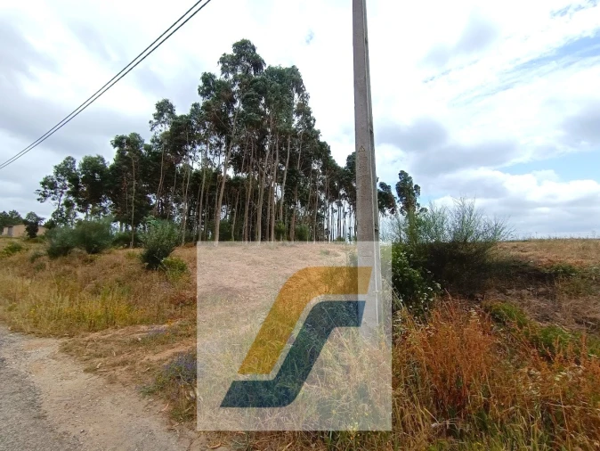 Terreno para Venda em Moita dos Ferreiros Foto 11