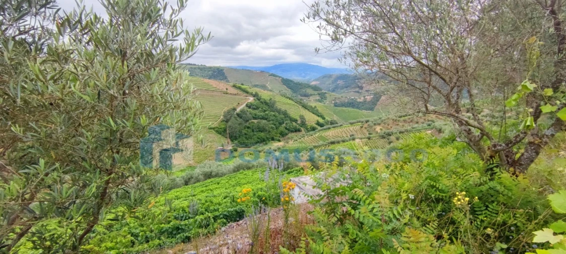 Quinta para Venda em Abaças Foto 1