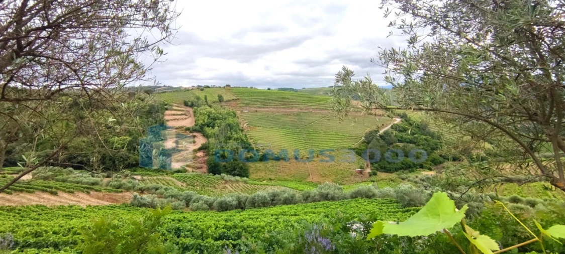 Quinta para Venda em Abaças Foto 2