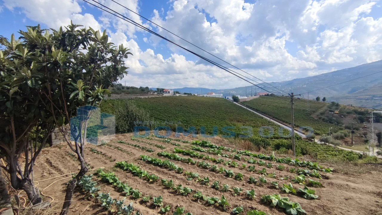 Quinta para Venda em Fontelas Foto 8