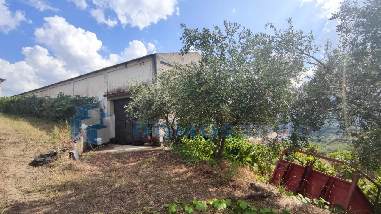 Quinta para Venda em Fontelas Foto 9