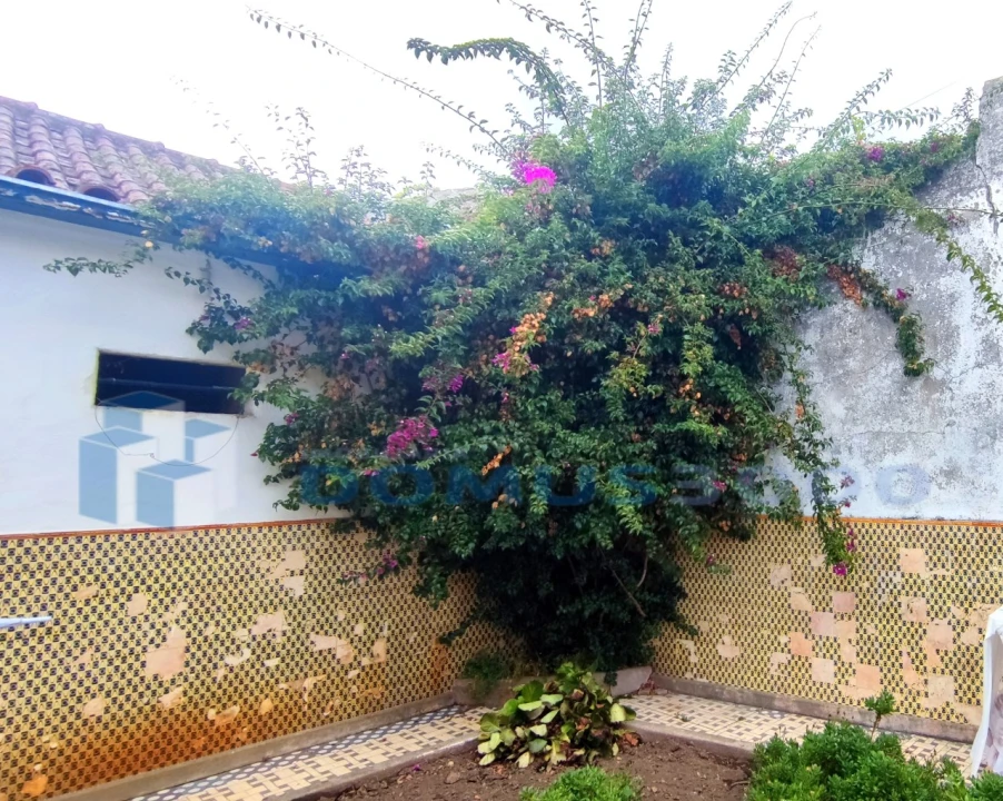 Quinta para Venda em Fontelas Foto 6