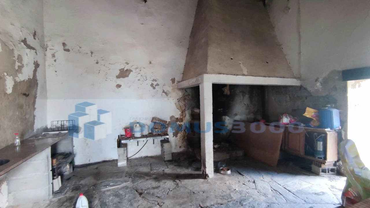 Quinta para Venda em Fontelas Foto 20