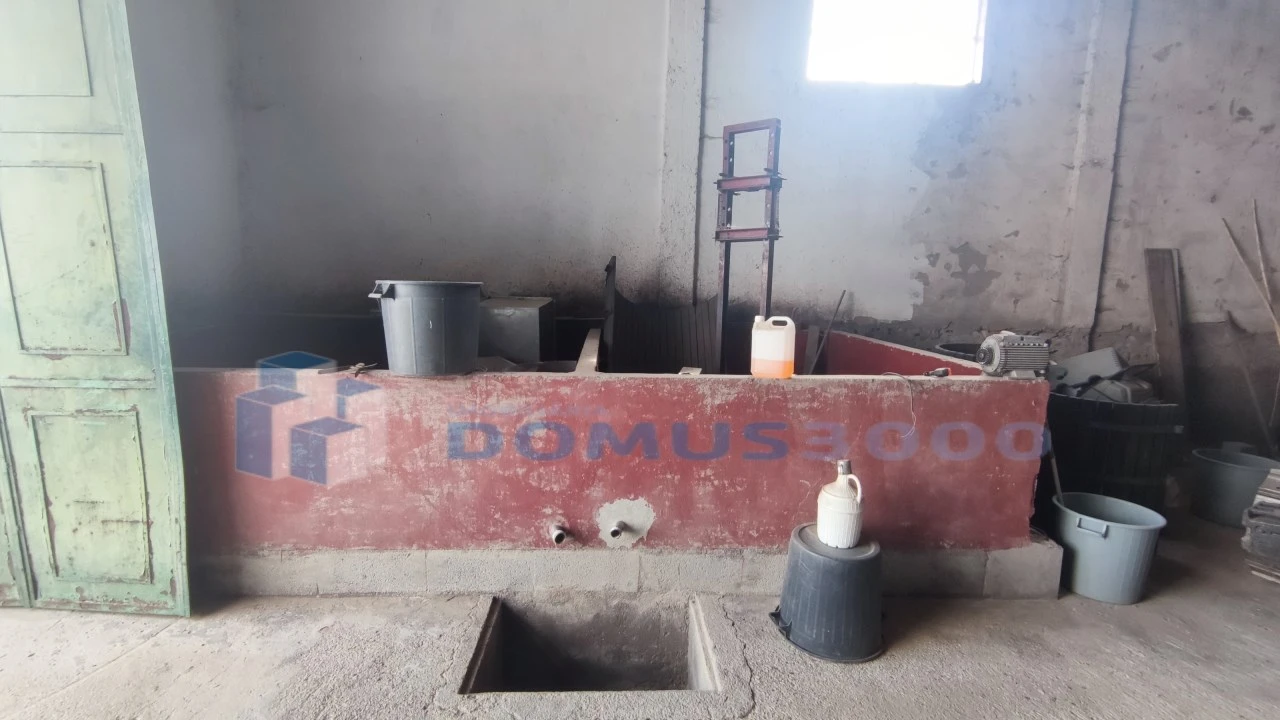 Quinta para Venda em Fontelas Foto 21