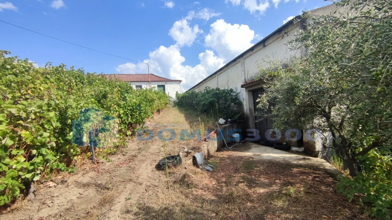 Quinta para Venda em Fontelas Foto 23