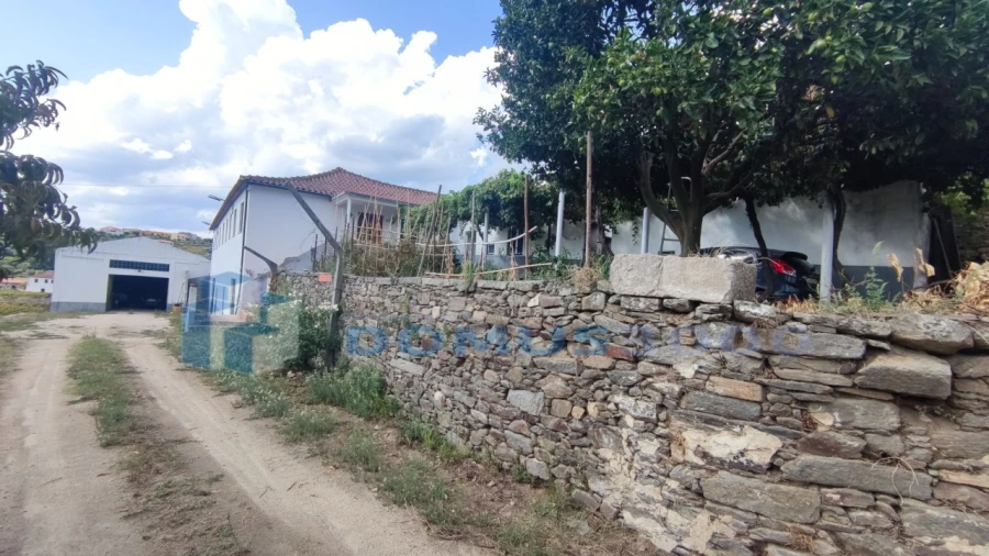 Quinta para Venda em Fontelas Foto 7