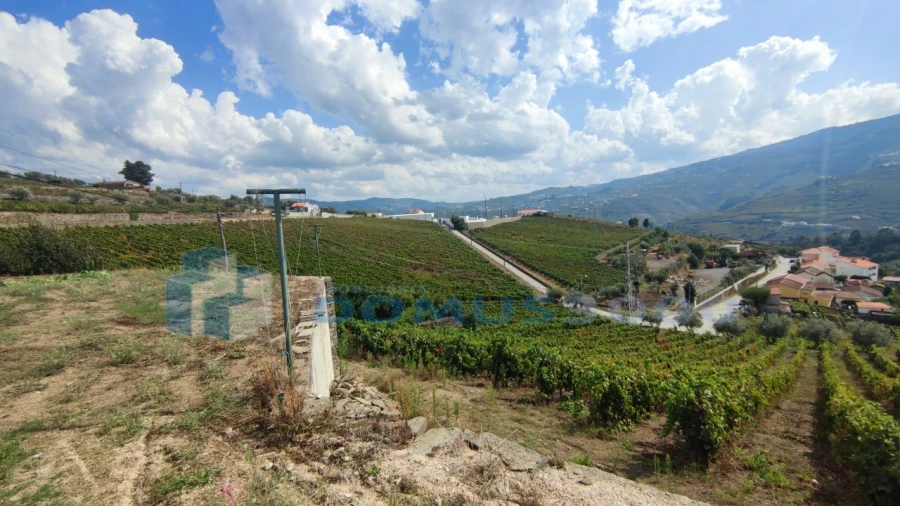 Quinta para Venda em Fontelas Foto 32