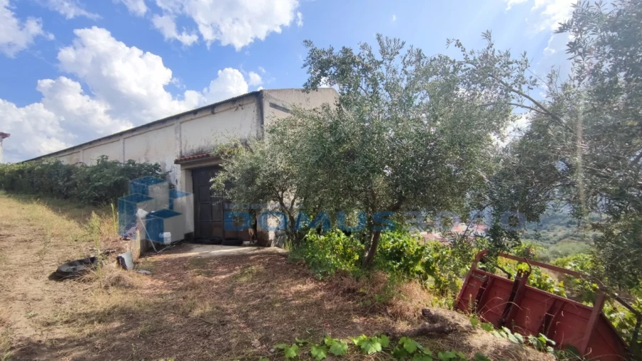 Quinta para Venda em Fontelas Foto 9