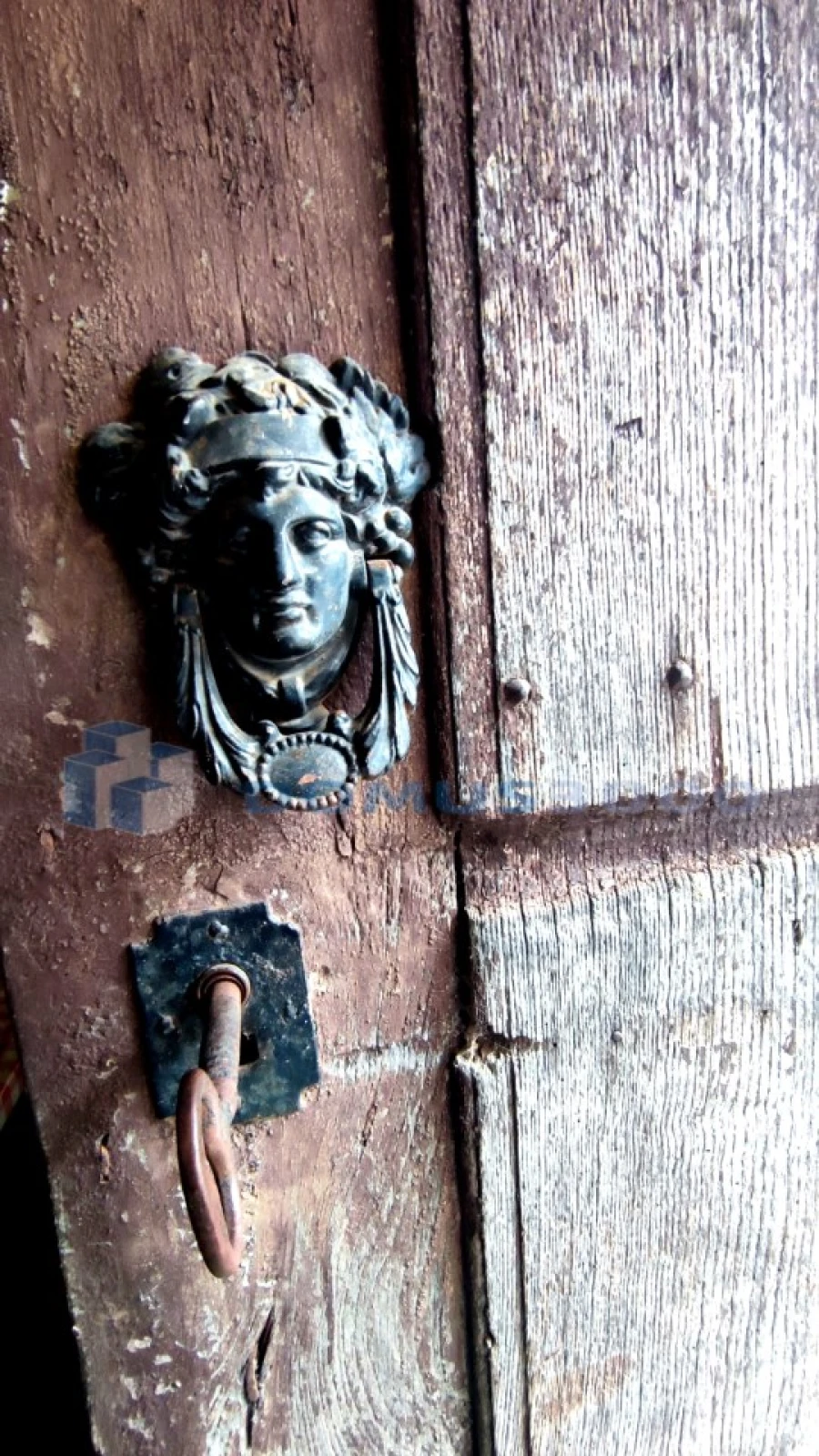 Quinta para Venda em Fontelas Foto 33