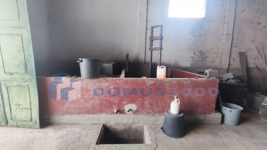 Quinta para Venda em Fontelas Foto 21