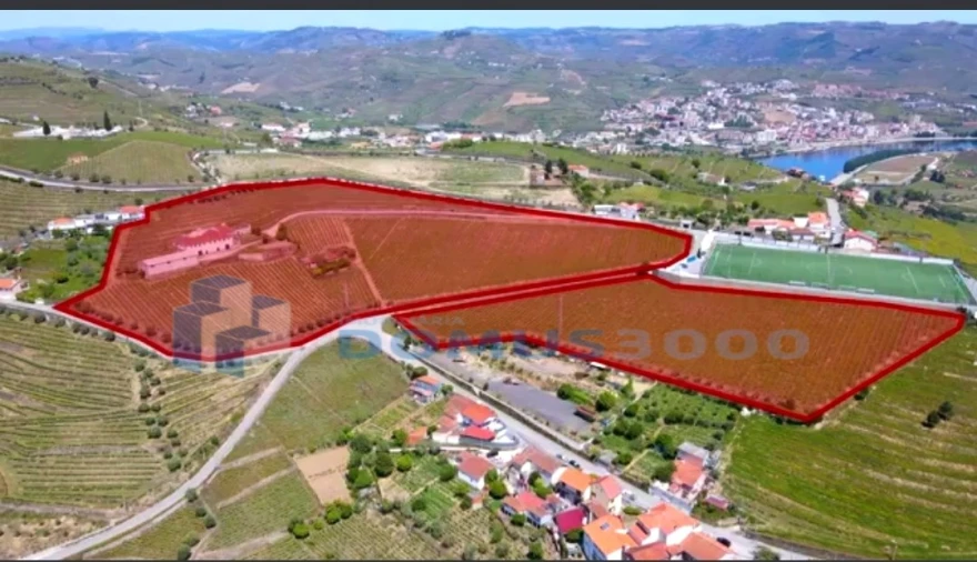 Quinta para Venda em Fontelas Foto 30