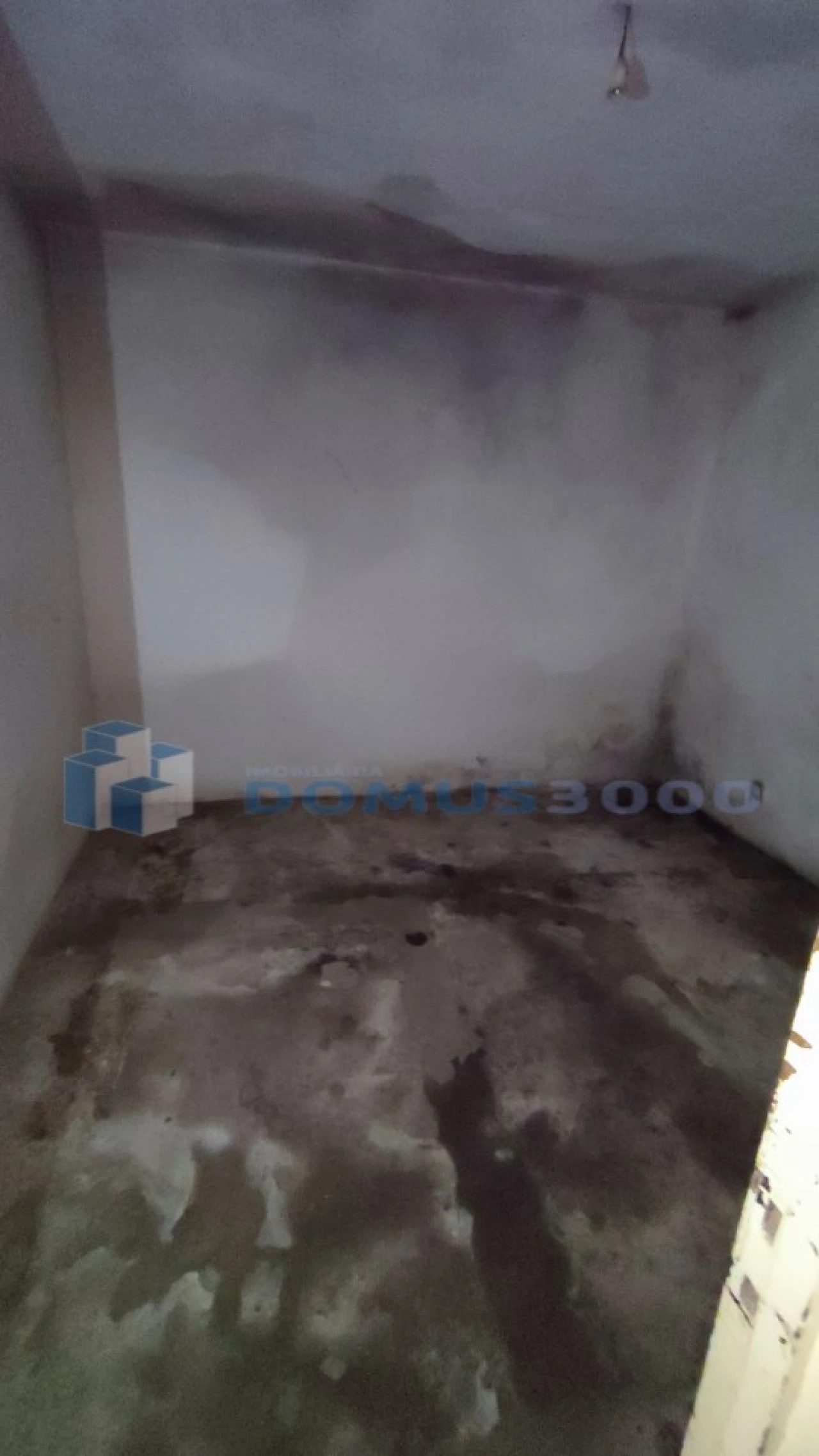 Moradia para Venda em Lobrigos (São Miguel e São João Baptista) e Sanhoane Foto 8