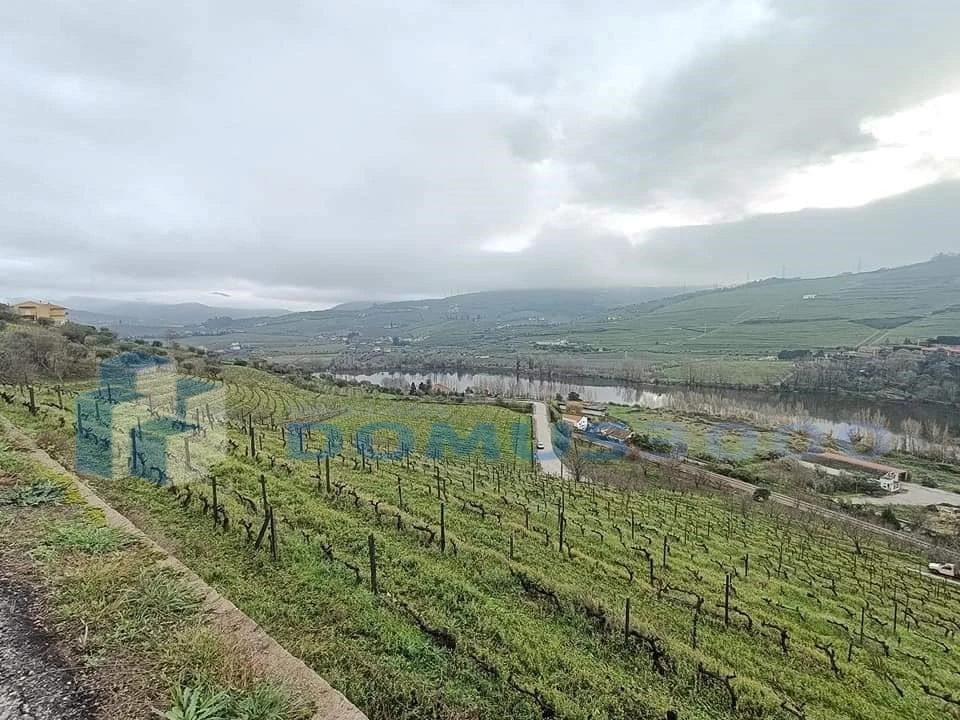 Quinta para Venda em Peso da Régua e Godim Foto 2
