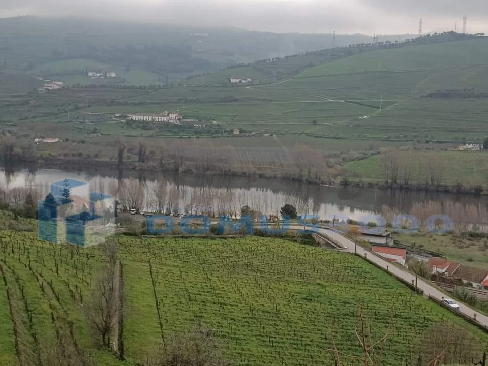 Quinta para Venda em Peso da Régua e Godim Foto 3