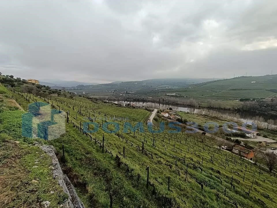 Quinta para Venda em Peso da Régua e Godim Foto 4