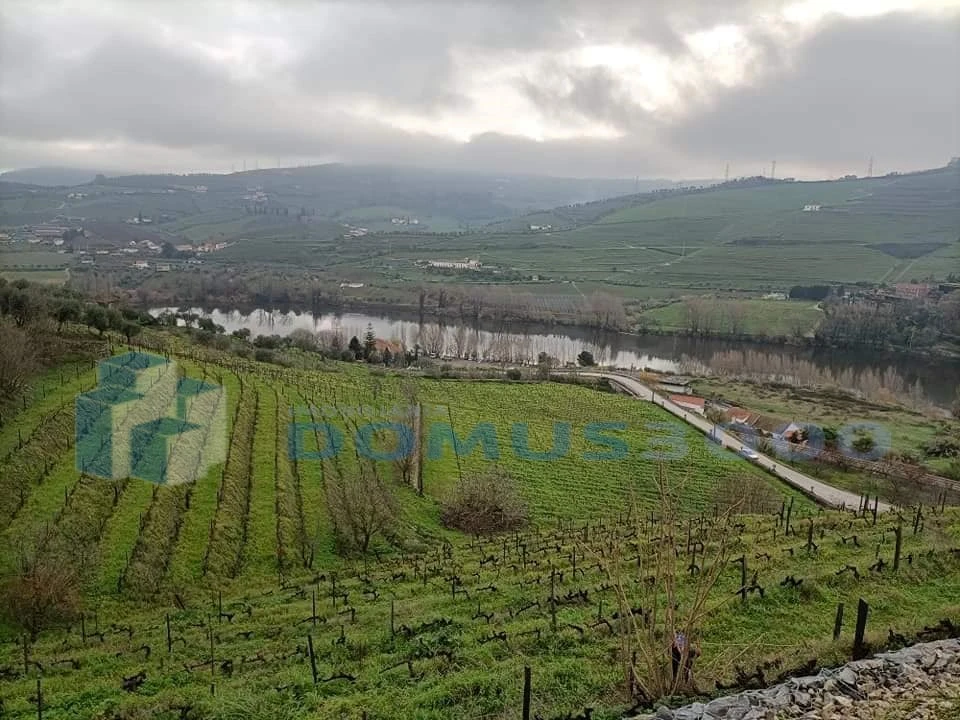 Quinta para Venda em Peso da Régua e Godim Foto 5