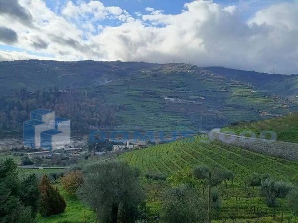 Quinta para Venda em Peso da Régua e Godim Foto 1