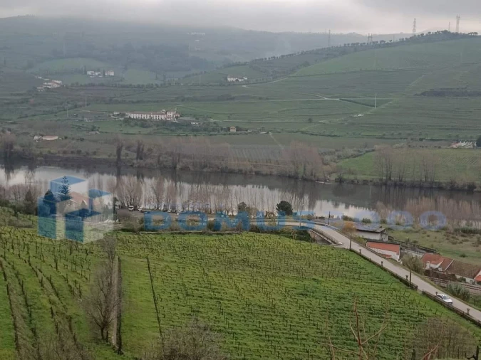 Quinta para Venda em Peso da Régua e Godim Foto 3