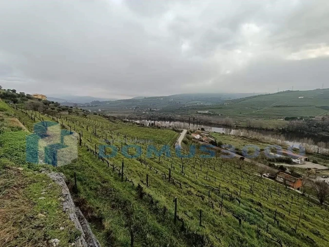 Quinta para Venda em Peso da Régua e Godim Foto 4