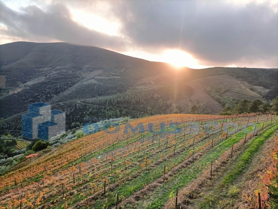 Quinta para Venda em Provesende, Gouvães Douro, São Cristóvão Douro Foto 1