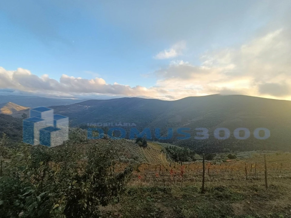 Quinta para Venda em Provesende, Gouvães Douro, São Cristóvão Douro Foto 17