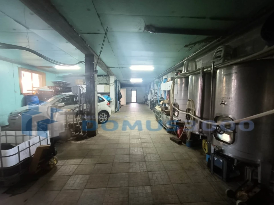 Quinta para Venda em Provesende, Gouvães Douro, São Cristóvão Douro Foto 22