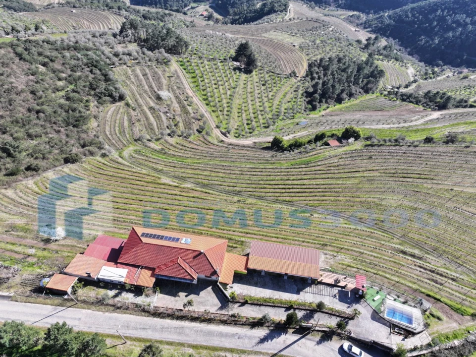 Quinta para Venda em Provesende, Gouvães Douro, São Cristóvão Douro Foto 7
