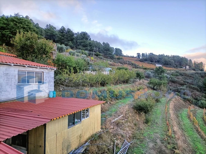 Quinta para Venda em Provesende, Gouvães Douro, São Cristóvão Douro Foto 19