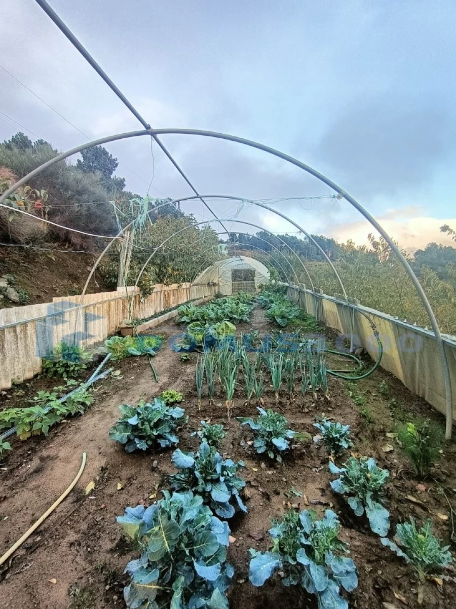 Quinta para Venda em Provesende, Gouvães Douro, São Cristóvão Douro Foto 20