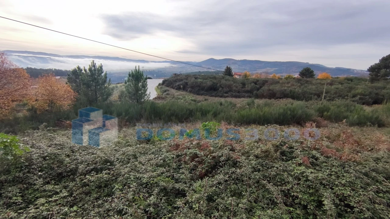 Terreno para Venda em Sabrosa Foto 1