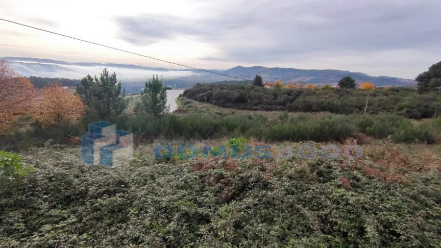 Terreno para Venda em Sabrosa