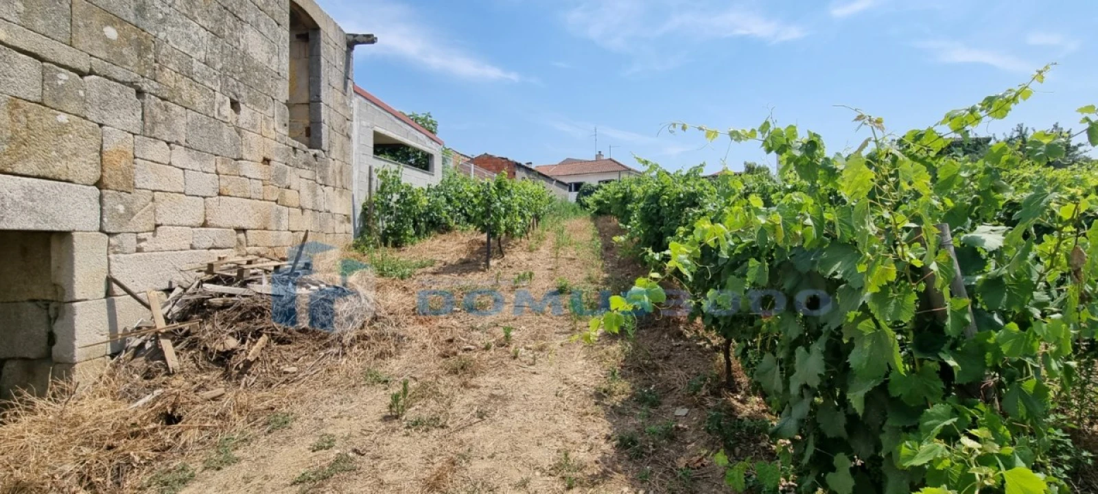 Quinta para Venda em Folhadela Foto 5