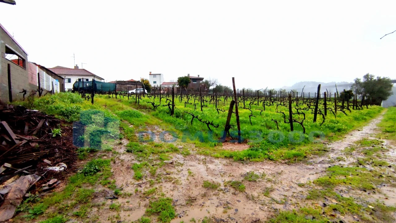 Quinta para Venda em Folhadela Foto 4