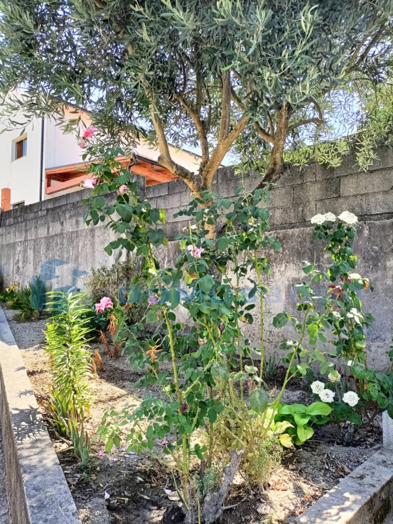 Moradia para Venda em Amarante (São Gonçalo), Madalena, Cepelos e Gatão Foto 9