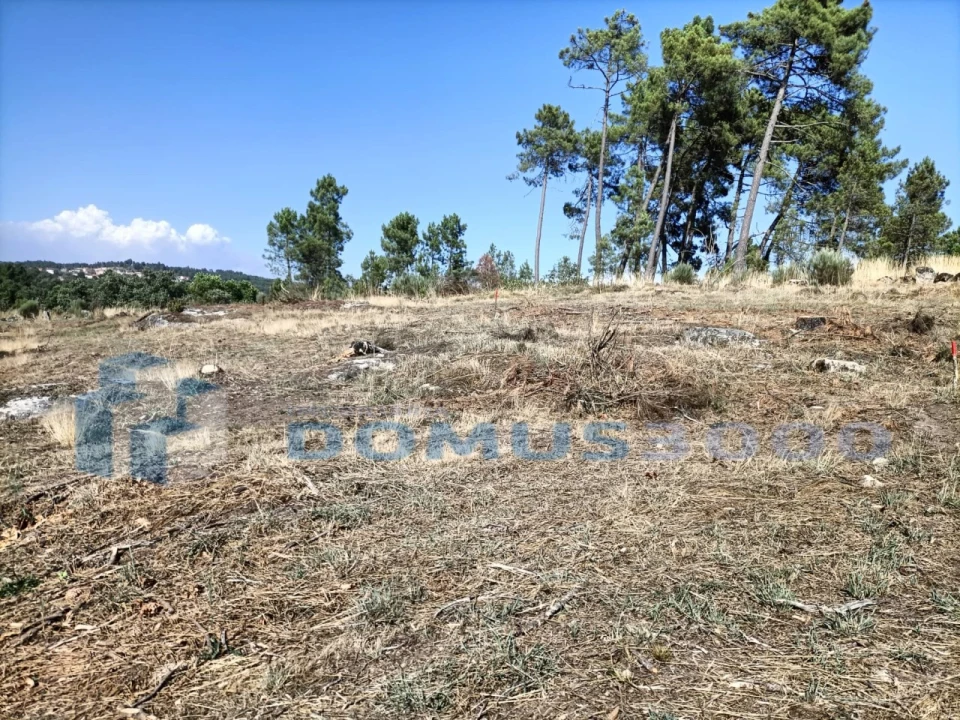Terreno para Venda em Mouçós e Lamares Foto 4