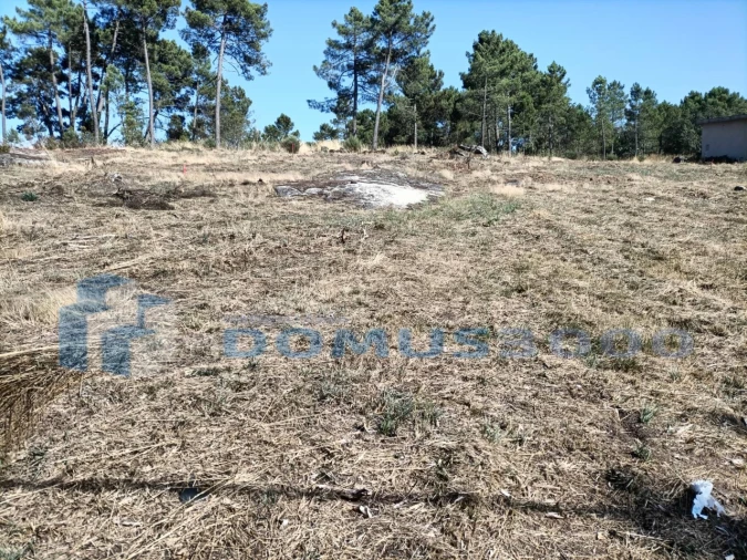 Terreno para Venda em Mouçós e Lamares Foto 5