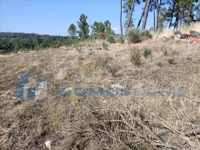 Terreno para Venda em Mouçós e Lamares Foto 9