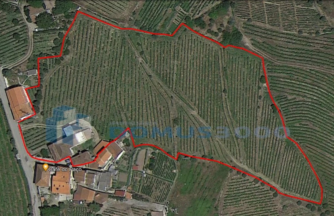 Quinta para Venda em Peso da Régua e Godim Foto 9